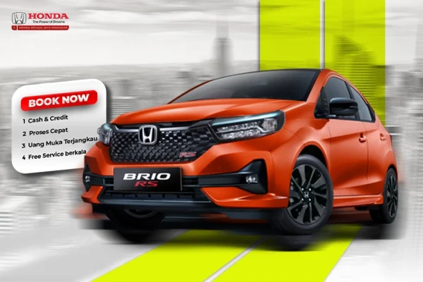 BRIO
